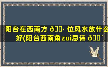 阳台在西南方 🌷 位风水放什么好(阳台西南角zui
忌讳 🌴 放什么)